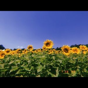 Meet your Posher, Julia